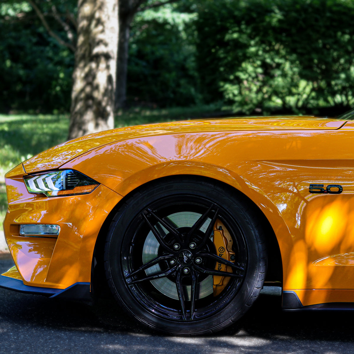 2018 Ford Mustang GT S550