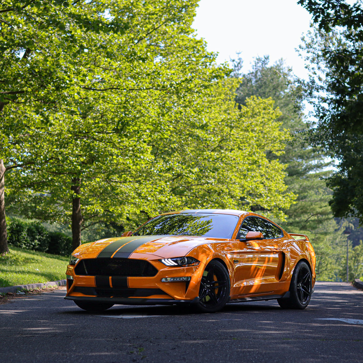 2018 Ford Mustang GT S550